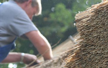 professional Bryneglwys thatchers