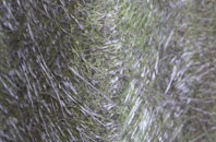 Bryneglwys fibreglass roof work